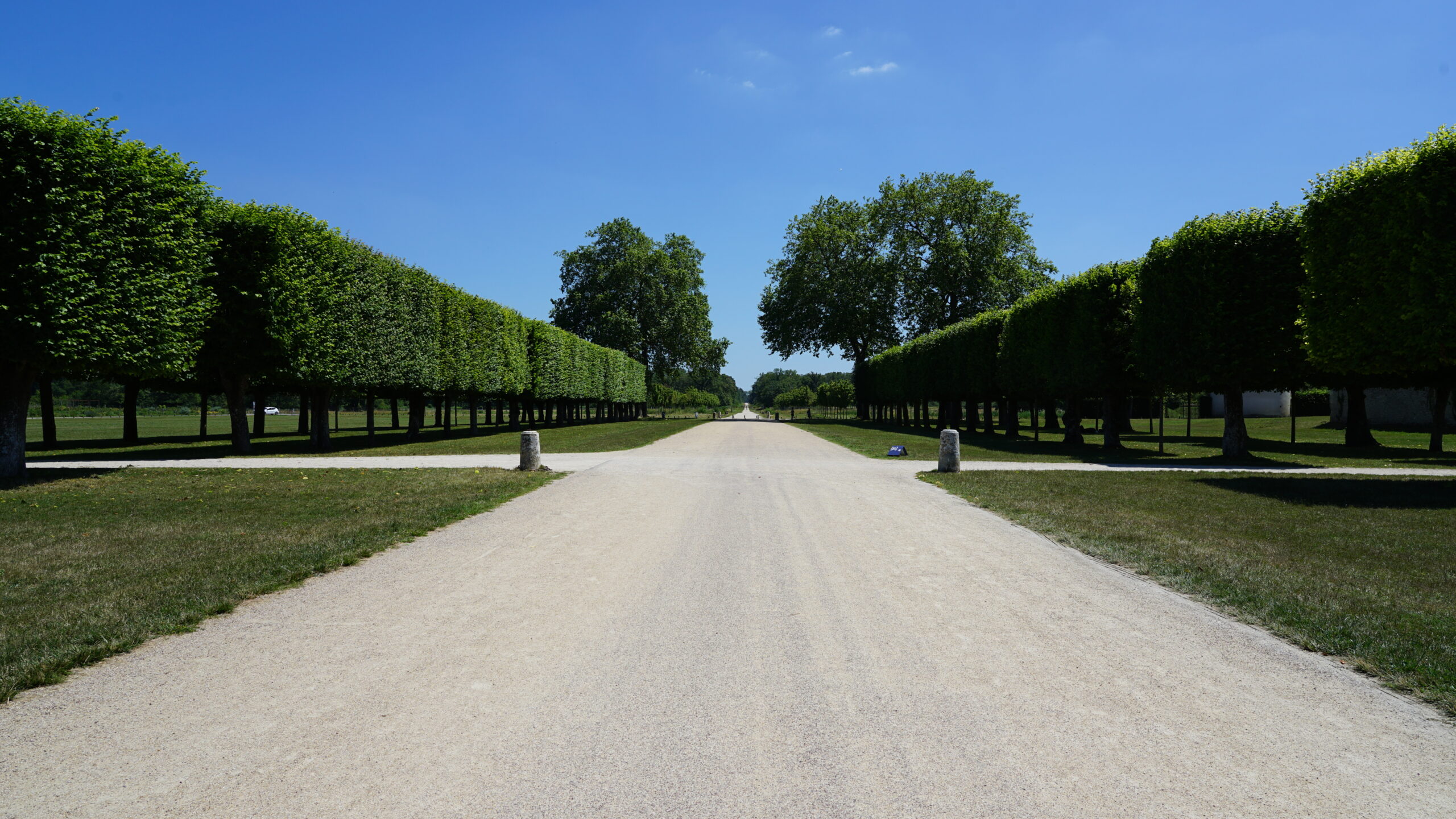 Der Weg